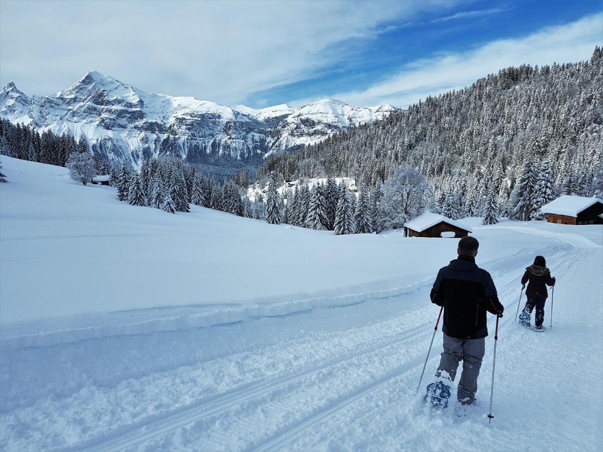 Bellevue Centre, Wifi, Mountain View Apartment Les Carroz d'Araches Bagian luar foto