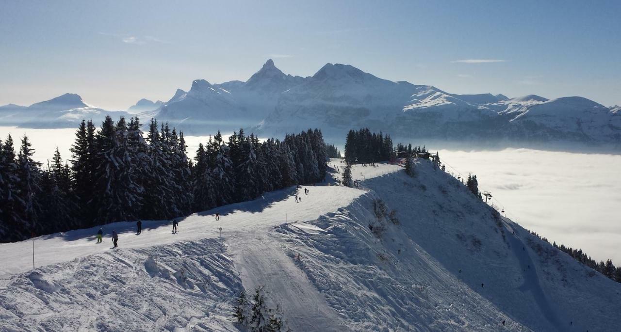 Bellevue Centre, Wifi, Mountain View Apartment Les Carroz d'Araches Bagian luar foto