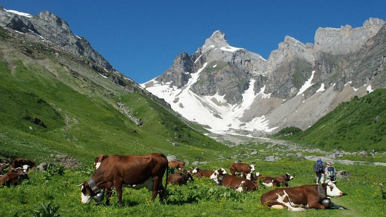 Bellevue Centre, Wifi, Mountain View Apartment Les Carroz d'Araches Bagian luar foto